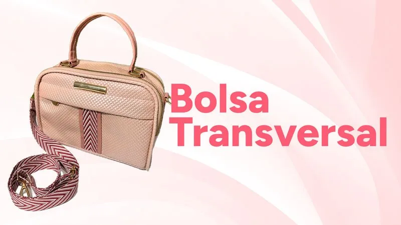 Projeto Bolsa Transversal
