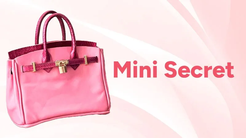 Projeto Mini Secret